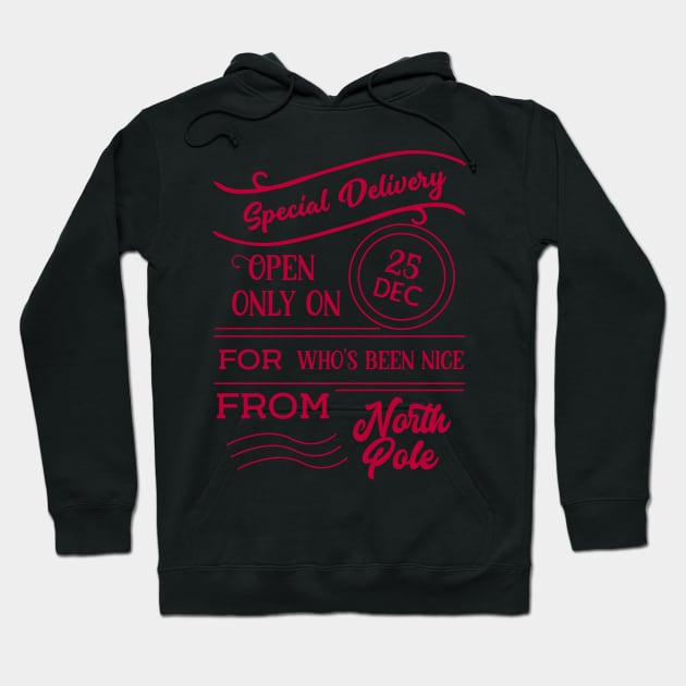 Special Delivery Hoodie by holidaystore